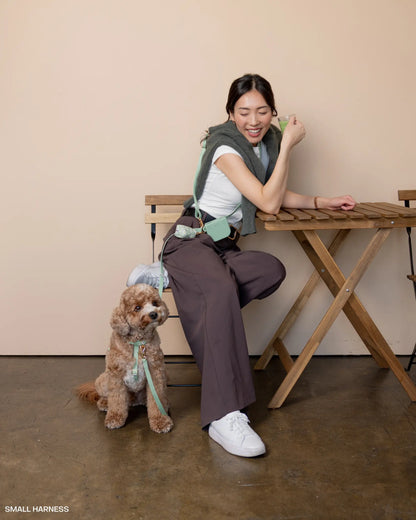 4-In-1 Convertible Hands Free Cloud Dog Leash, 8.5-Ft Long, 5/8” Wide or 3/4” Wide