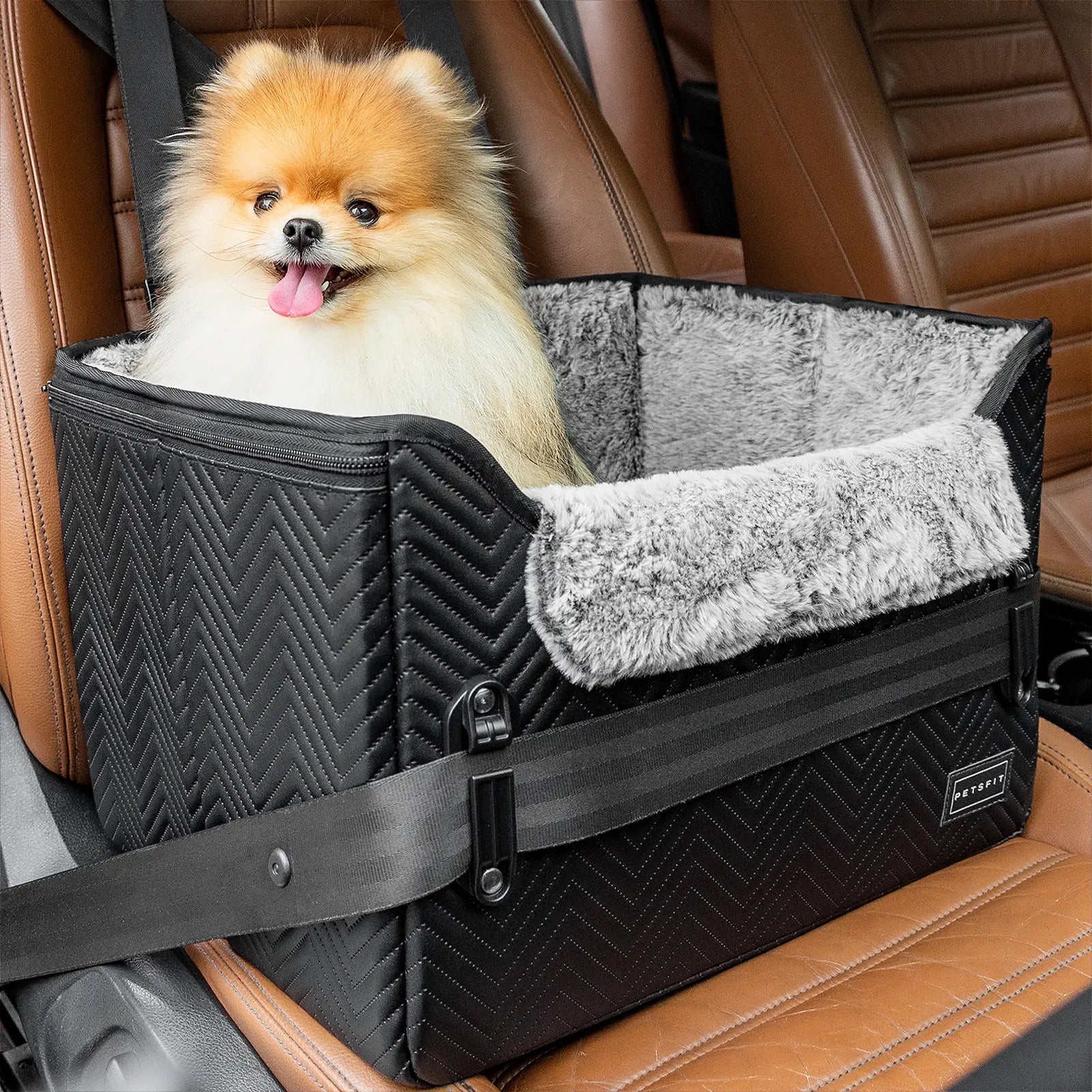 [5-Year Warranty] PETSFIT Small Dog Car Seat, Waterproof PU Leather Dog Carseat with Patent Safe Buckles, Clip-On Leash, Car Seat for Dogs, Cats up to 25 Lbs