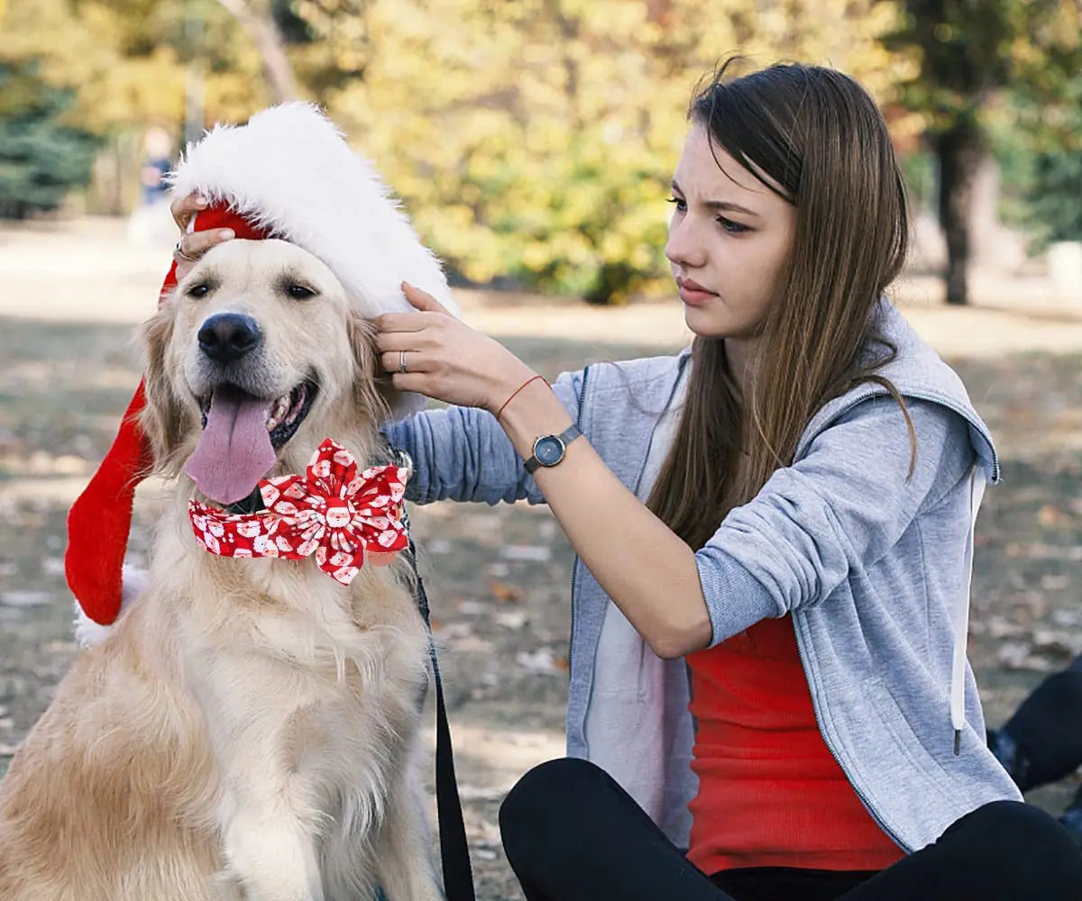 DOGWONG Christmas Dog Collar, Adjustable Santa Claus Dog Accessory - Cotton Collar for Small Medium Large Dogs