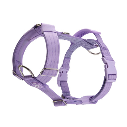 Spark Paws Comfort Control Large Dog No-Pull Harness, Halter Design with Front Clip, Durable and Heavy-Duty for Big and Strong Breeds