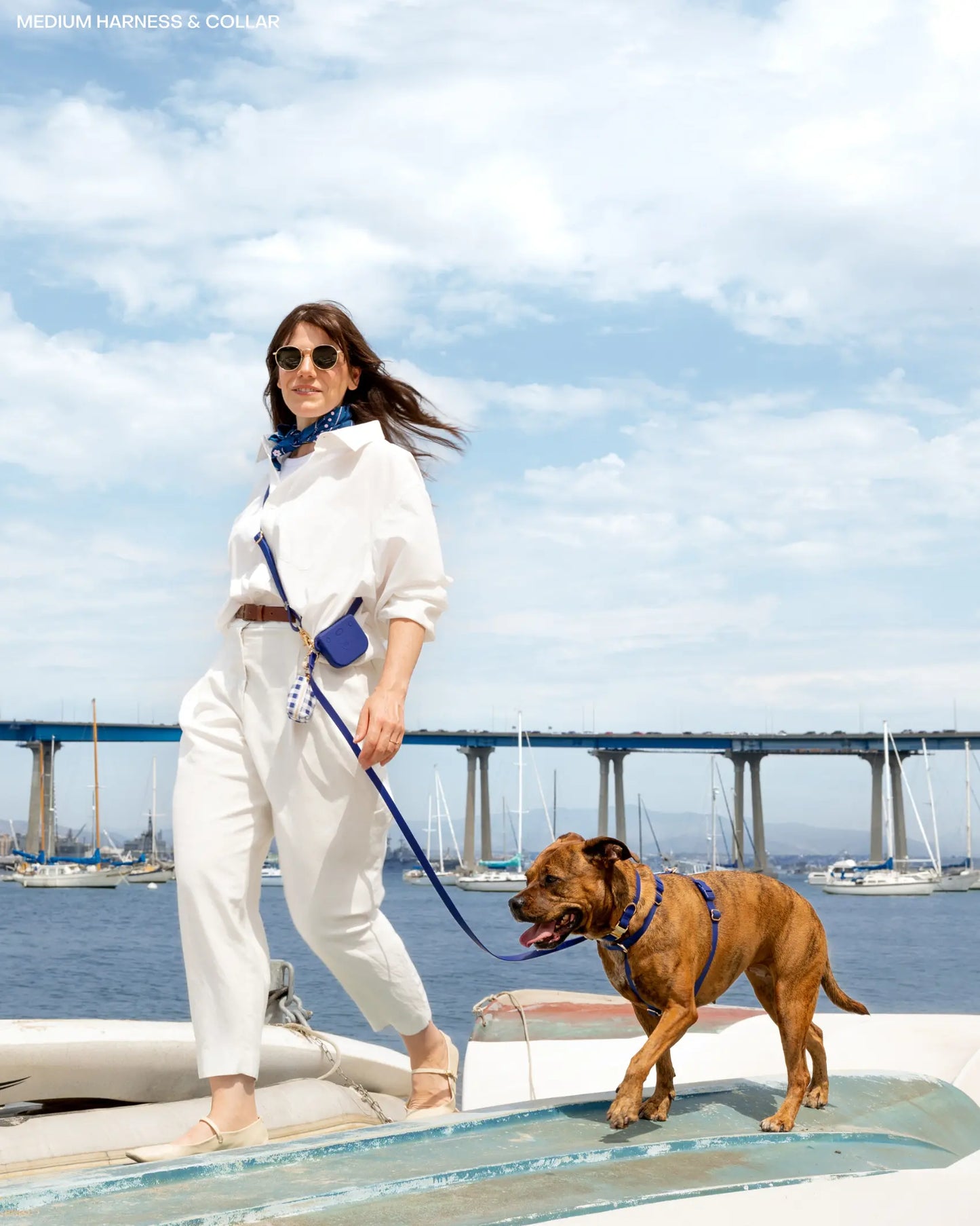 4-In-1 Convertible Hands Free Cloud Dog Leash, 8.5-Ft Long, 5/8” Wide or 3/4” Wide