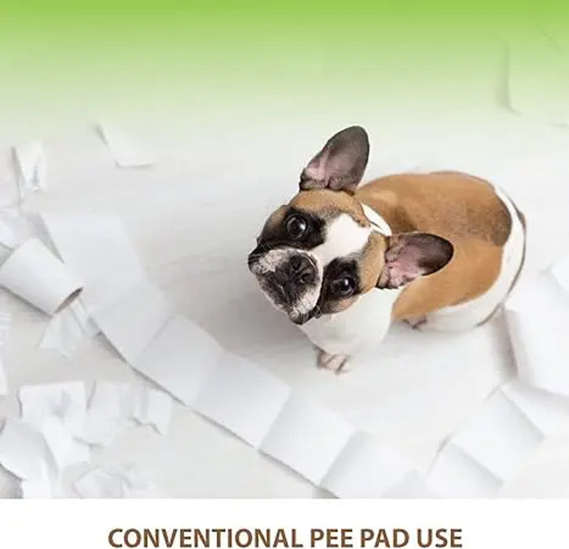 BANU Puppy Pee Pad Holder Indoor Outdoor Dog Potty Toilet Training Tray 20" X 16" for Small and Medium Dogs