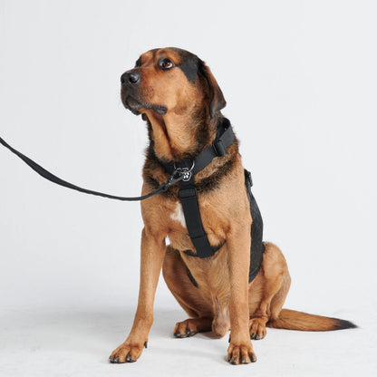Spark Paws Comfort Control Large Dog No-Pull Harness, Halter Design with Front Clip, Durable and Heavy-Duty for Big and Strong Breeds