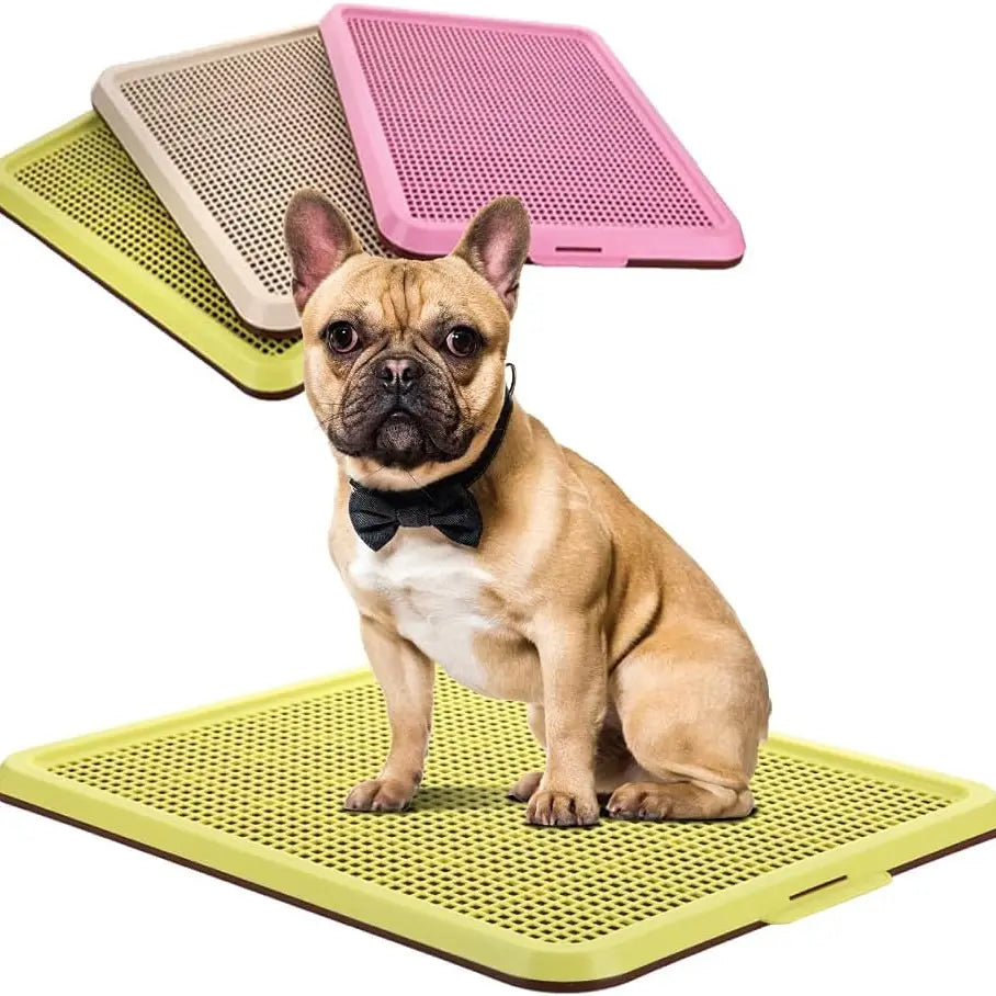 BANU Puppy Pee Pad Holder Indoor Outdoor Dog Potty Toilet Training Tray 20" X 16" for Small and Medium Dogs