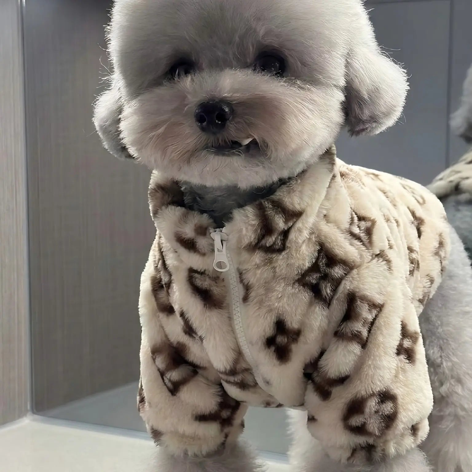 Monogrammed Faux Fur Dog Coat | Designer Jacket for Small Dogs and Puppies