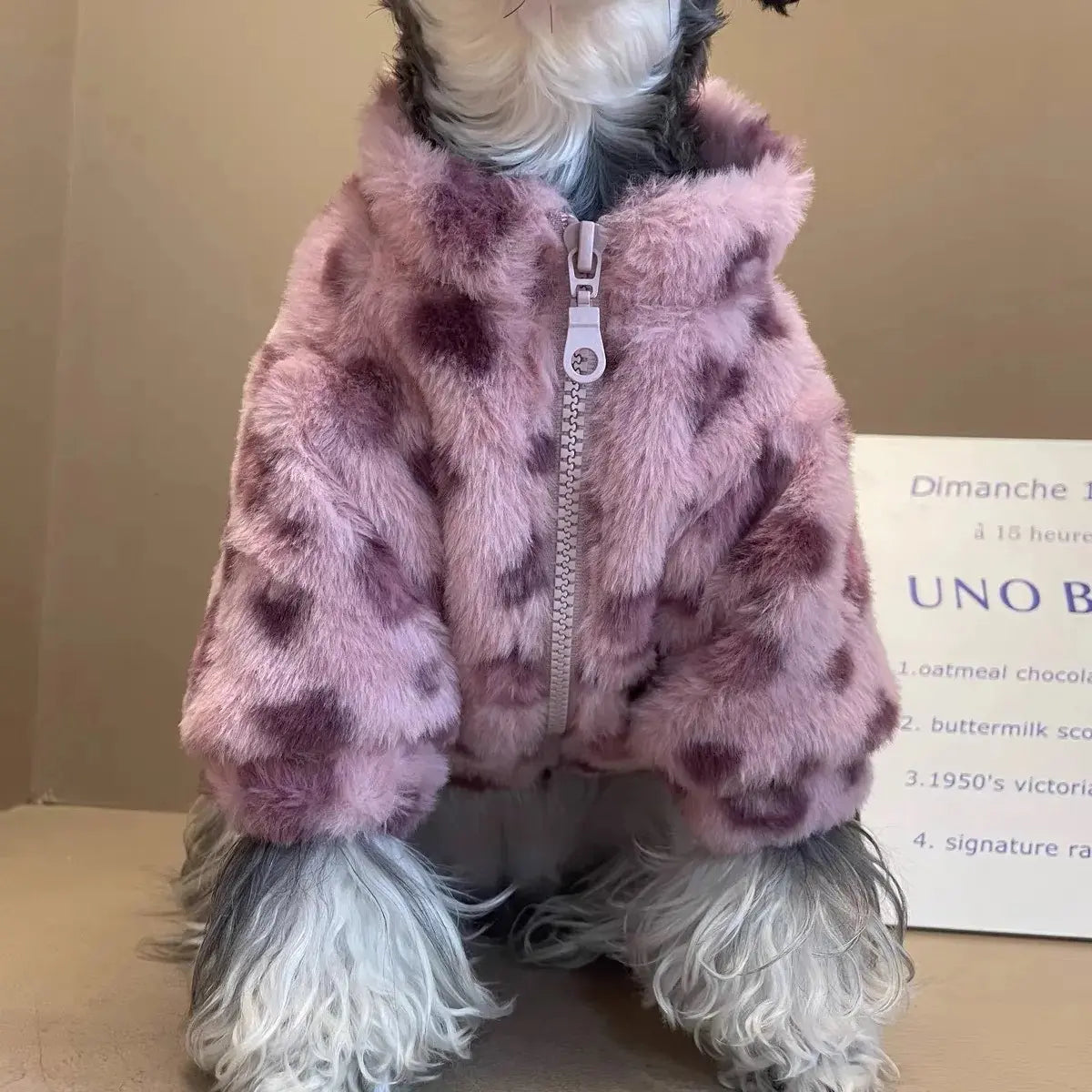Monogrammed Faux Fur Dog Coat | Designer Jacket for Small Dogs and Puppies