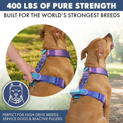 Spark Paws Comfort Control Large Dog No-Pull Harness, Halter Design with Front Clip, Durable and Heavy-Duty for Big and Strong Breeds